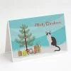 Promo 🎁 Caroline's Treasures ❄ Christmas, Oriental Bicolor Cat Merry ❄ Christmas Greeting Cards and Envelopes Pack of 8, 7 x 5, Cats 😀