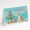 Best deal 😀 Caroline's Treasures 🎄 Christmas, Singapura #1 Cat Merry 🎄 Christmas Greeting Cards and Envelopes Pack of 8, 7 x 5, Cats ✔️