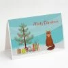 Budget 🥰 Caroline's Treasures ❄ Christmas, Somali Cat Merry ❄ Christmas Greeting Cards and Envelopes Pack of 8, 7 x 5, Cats 😍