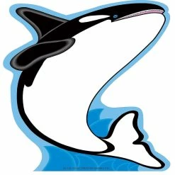 Best reviews of 👏 Creative Shapes Etc. - Large Notepad - Killer Whale 🎁