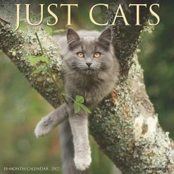 Cheapest 😉 Willow Creek Press Just Cats 2022 Wall Cal 😍