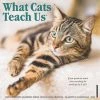 Best Pirce 🔔 Willow Creek Press What Cats Teach Us 2022 Wall Cal 💯