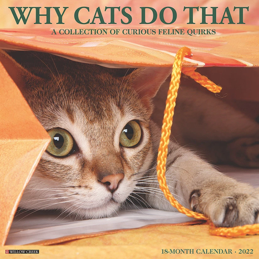 Cheap ๐ Willow Creek Press Why Cats Do That 2022 Wall Cal ๐งจ